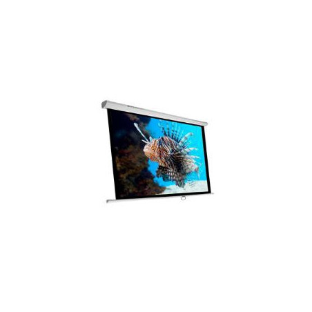 Phoenix Technologies PHPANTALLA-240 schermo per proiettore 3,43 m (135") 1 1