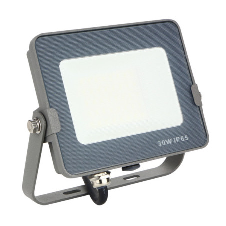 Silver Electronics 172030 proiettore Grigio 30 W LED