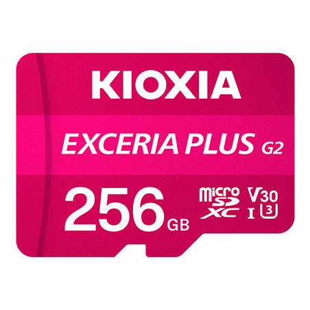 Kioxia LMPL2M256GG2 memoria flash 256 GB MicroSDXC UHS-I Classe 10