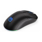 RATON OPTICO ENDORFY GEM PLUS WIRELESS