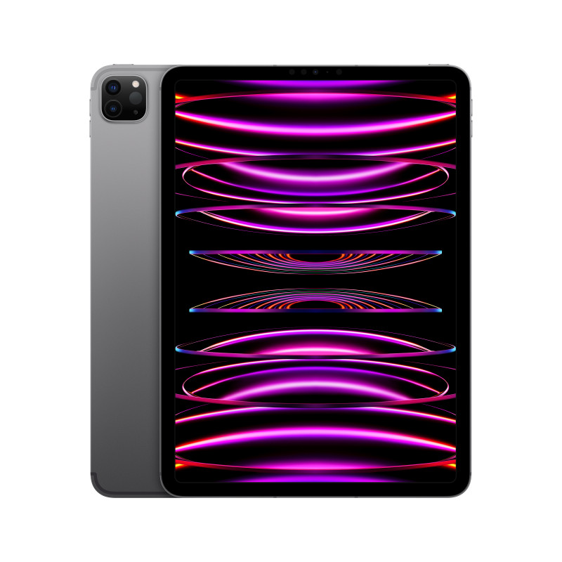 IPAD PRO 11 WF CL 2T GRY