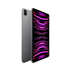 IPAD PRO 11 WF CL 2T GRY