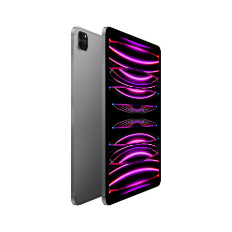 IPAD PRO 11 WF CL 2T GRY