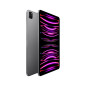 IPAD PRO 11 WF CL 2T GRY