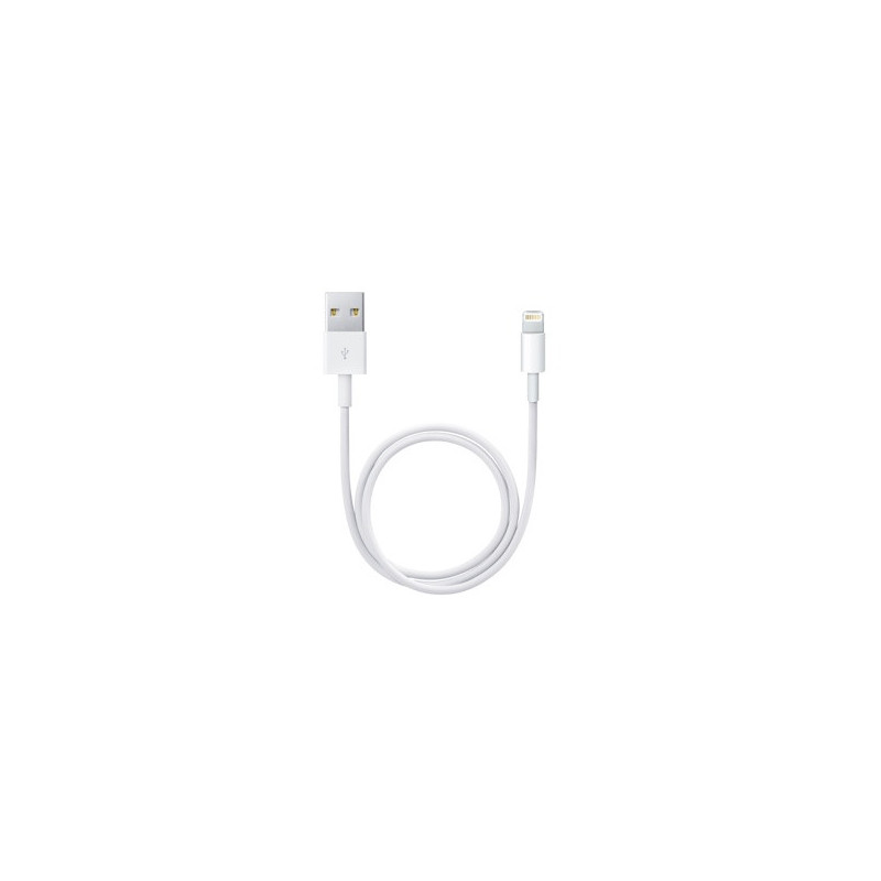 APPLE LIGHTNING TO USB CABLE 0.5M ME291ZM/A