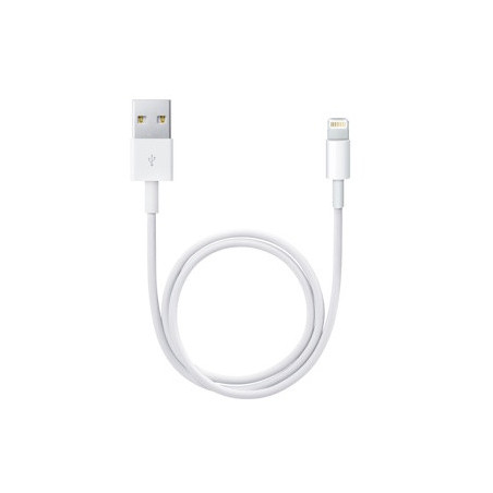APPLE LIGHTNING TO USB CABLE 0.5M ME291ZM/A