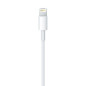 APPLE LIGHTNING TO USB CABLE 0.5M ME291ZM/A