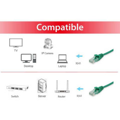 Equip 625443 cavo di rete Verde 0,25 m Cat6 U UTP (UTP)