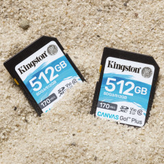 Kingston Technology Canvas Go! Plus Scheda SDXC Canvas Go Plus 170R C10 UHS-I U3 V30 da 512GB