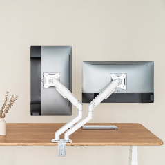 TooQ DB4132TNR-W Supporti a parete per TV 81,3 cm (32") Scrivania Bianco