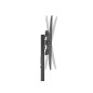 Soporte suelo con ruedas tv equip vesa hasta 55 pulgadas 400x400 max 35kg