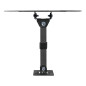 Soporte de pared ewent ew1521 para tv hasta 43 pulgadas carga maxima 30kg
