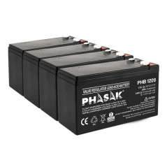 Phasak PHB 1209 batteria UPS Acido piombo (VRLA) 12 V 9 Ah