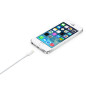 Adaptador apple lightning macho a usb macho 2m