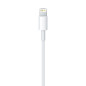 Adaptador apple lightning macho a usb macho 2m