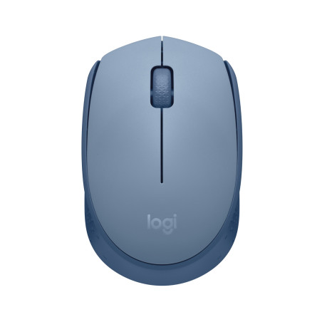 Logitech M170