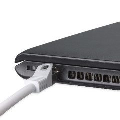 Phasak PHK 1650 cavo di rete Grigio 0,25 m Cat6 U/UTP (UTP)