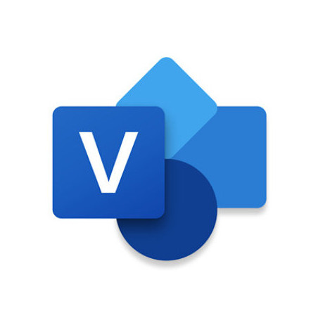 Microsoft Visio Professional 2024 Grafico Full 1 licenza e