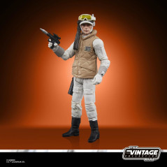 Hasbro F44675X0 toy figure
