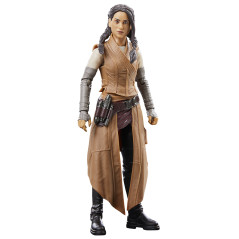 Star Wars The Black Series F55285X0 toy figure