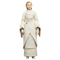 Star Wars The Black Series F55305X0 toy figure