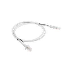 Lanberg PCU6-10CC-0100-S cavo di rete Grigio 1 m Cat6 U/UTP (UTP)
