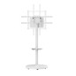 Soporte suelo con ruedas ewent vesa hasta 86 pulgadas 600x400mm max 50kg