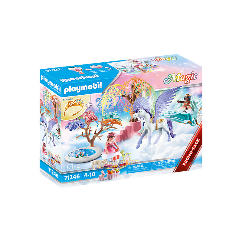 Playmobil pcnic con carruaje pegaso