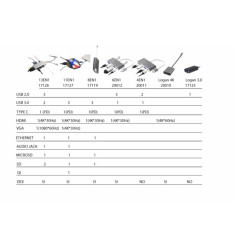SilverHT 112001040199 adattatore grafico USB Grigio