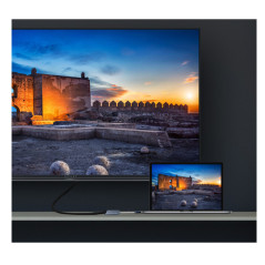 SilverHT Logan scheda di interfaccia e adattatore HDMI
