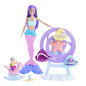 Mueca barbie mattel sirena juego de cuidado con merbaby y foca