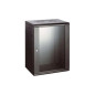 ARMARIO RACK PEPEGREEN  19  12U 60X60