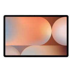 Samsung Galaxy Tab S10+ Wi-Fi 256 GB 31,5 cm (12.4") 12 GB Wi-Fi 6E (802.11ax) Platino, Argento