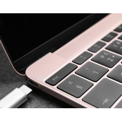 D-Link DUB-2334 Cablato USB tipo-C Grigio