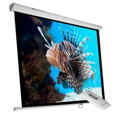 Phoenix Technologies PHPANTALLA-ELEC240 schermo per proiettore 3,43 m (135") 1 1