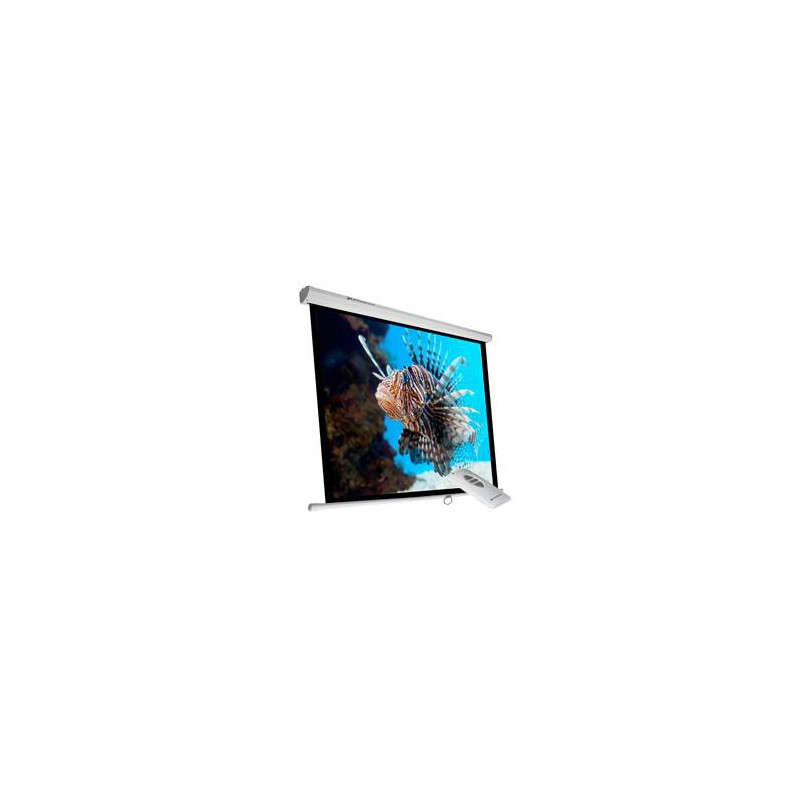 Phoenix Technologies PHPANTALLA-ELEC240 schermo per proiettore 3,43 m (135") 1:1