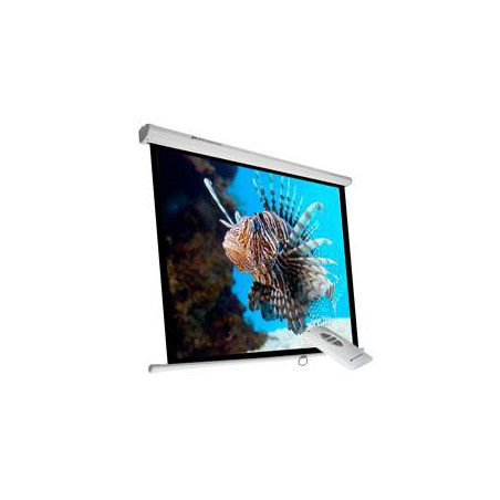 Phoenix Technologies PHPANTALLA-ELEC240 schermo per proiettore 3,43 m (135") 1 1