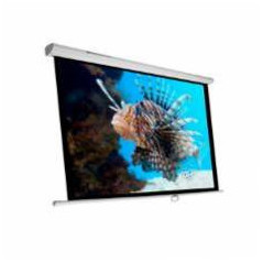 Phoenix Technologies Pantalla 300m schermo per proiettore 4,29 m (169") 1 1