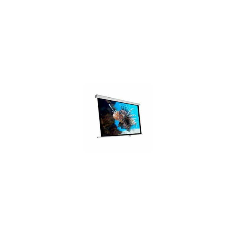 Phoenix Technologies Pantalla 300m schermo per proiettore 4,29 m (169") 1:1