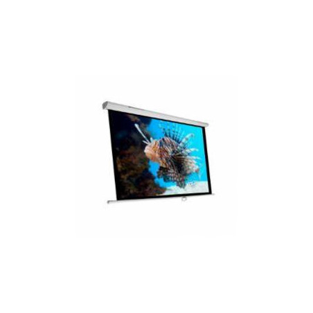 Phoenix Technologies Pantalla 300m schermo per proiettore 4,29 m (169") 1 1