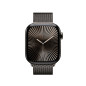 Apple Loop in maglia milanese ardesia (42 mm)