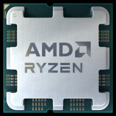 AMD Ryzen 5 8500G processore 3,5 GHz 16 MB L3 Vassoio