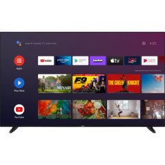 Daewoo 65DM72UAQP TV 165,1 cm (65") Smart TV Wi-Fi Nero 250 cd/m²