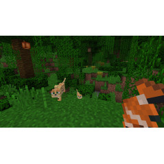 Nintendo Minecraft Standard Nintendo Switch