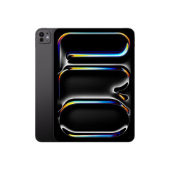 IPAD PRO 11 WF CL 256GB SBLK-ISP