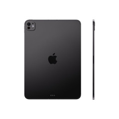 IPAD PRO 11 WF CL 256GB SBLK-ISP