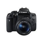 SLR cameras