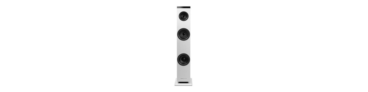 Sound Tower speakers