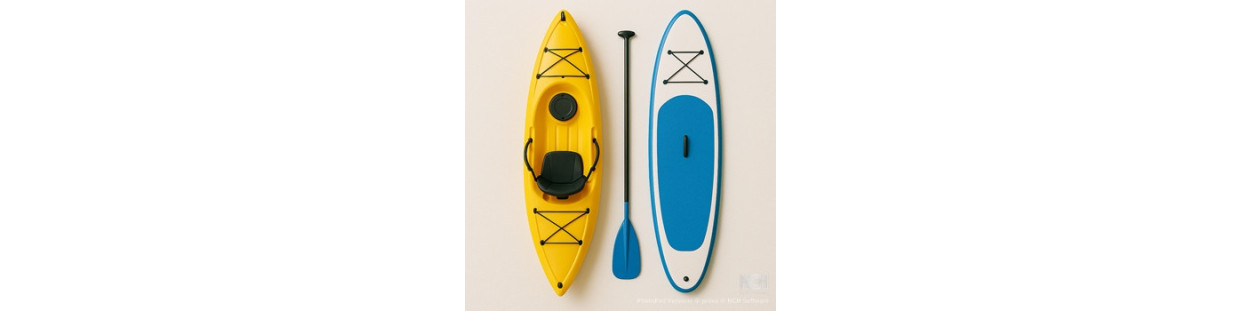 Kayak e Paddle Surf
