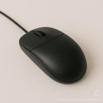 Mouse